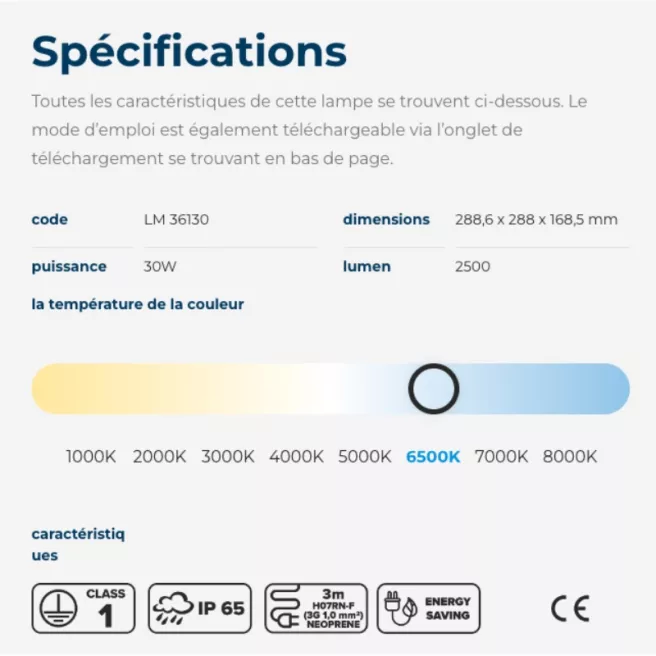 Lampe de chantier Led F30